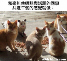杉果日报：预购《使命召唤19》提前解锁战役；索尼或推PC ...