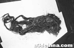 评选 2019 年年度最沙雕新闻，你觉得是哪一个？