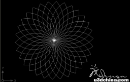 用 AutoCAD 可以画出怎样美丽的图形？