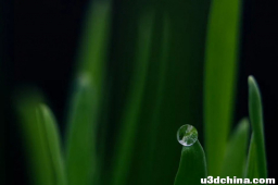 有限或无限，你是哪种游戏玩家？