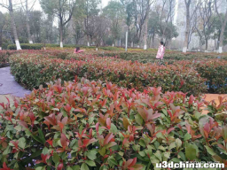 【育儿分享】轮流打游戏时，谁输了就跳绳50个