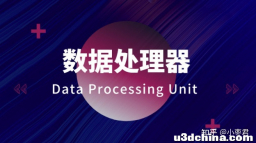 火遍全网的DPU，到底是个啥？