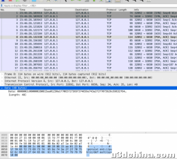 wireshark 书写lua插件