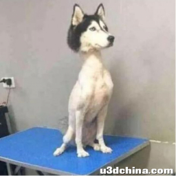 腾讯游戏发布通知，元旦假期前后未成年人每日限玩 1 小时 ...