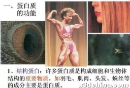 图像处理的回眸女郎Lenna是何方神圣？